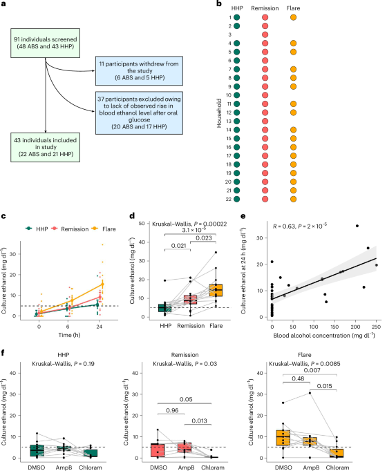 Featured image for Gut Microbes and Auto-Brewery Syndrome: Understanding Self-Produced Alcohol