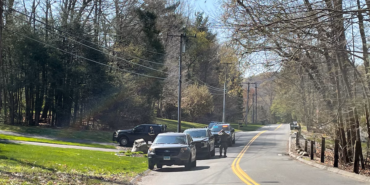 Featured image for Black bear euthanized after biting woman in Avon