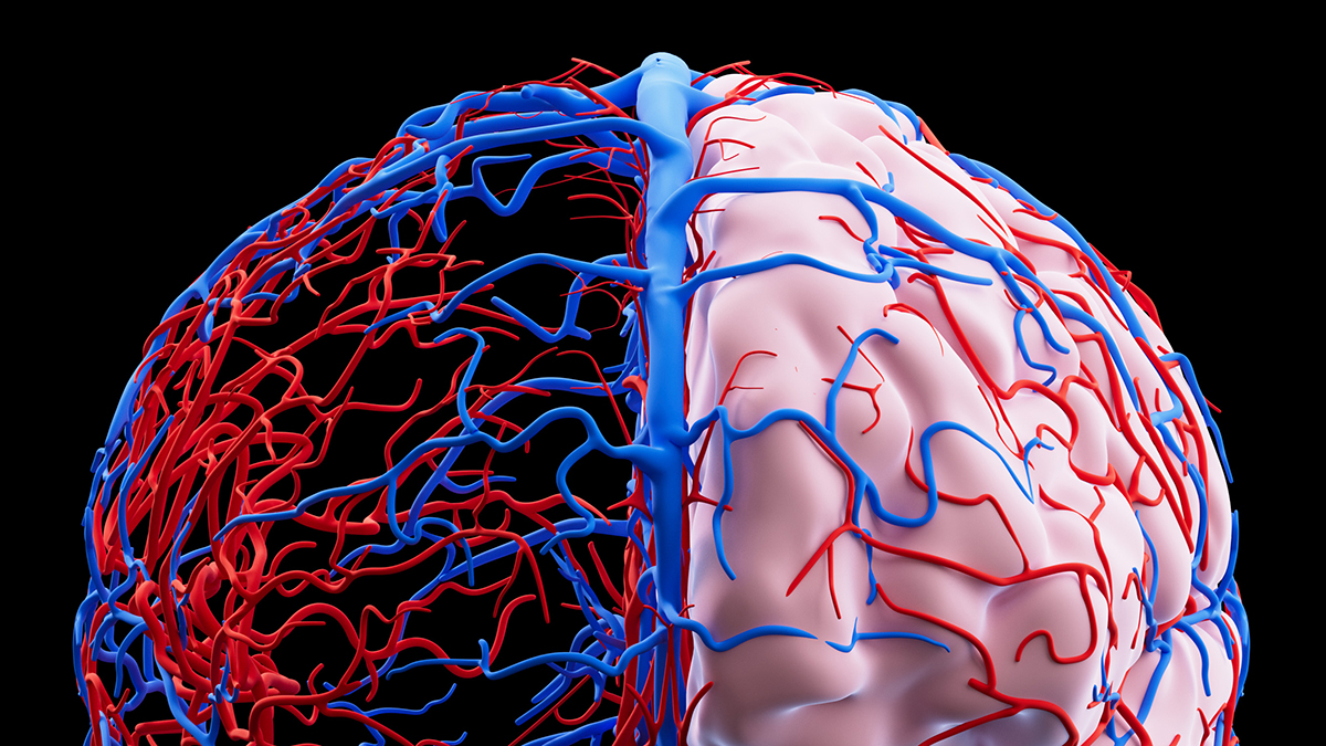 Featured image for Emerging Research Links Microplastics to Neurodegenerative Diseases