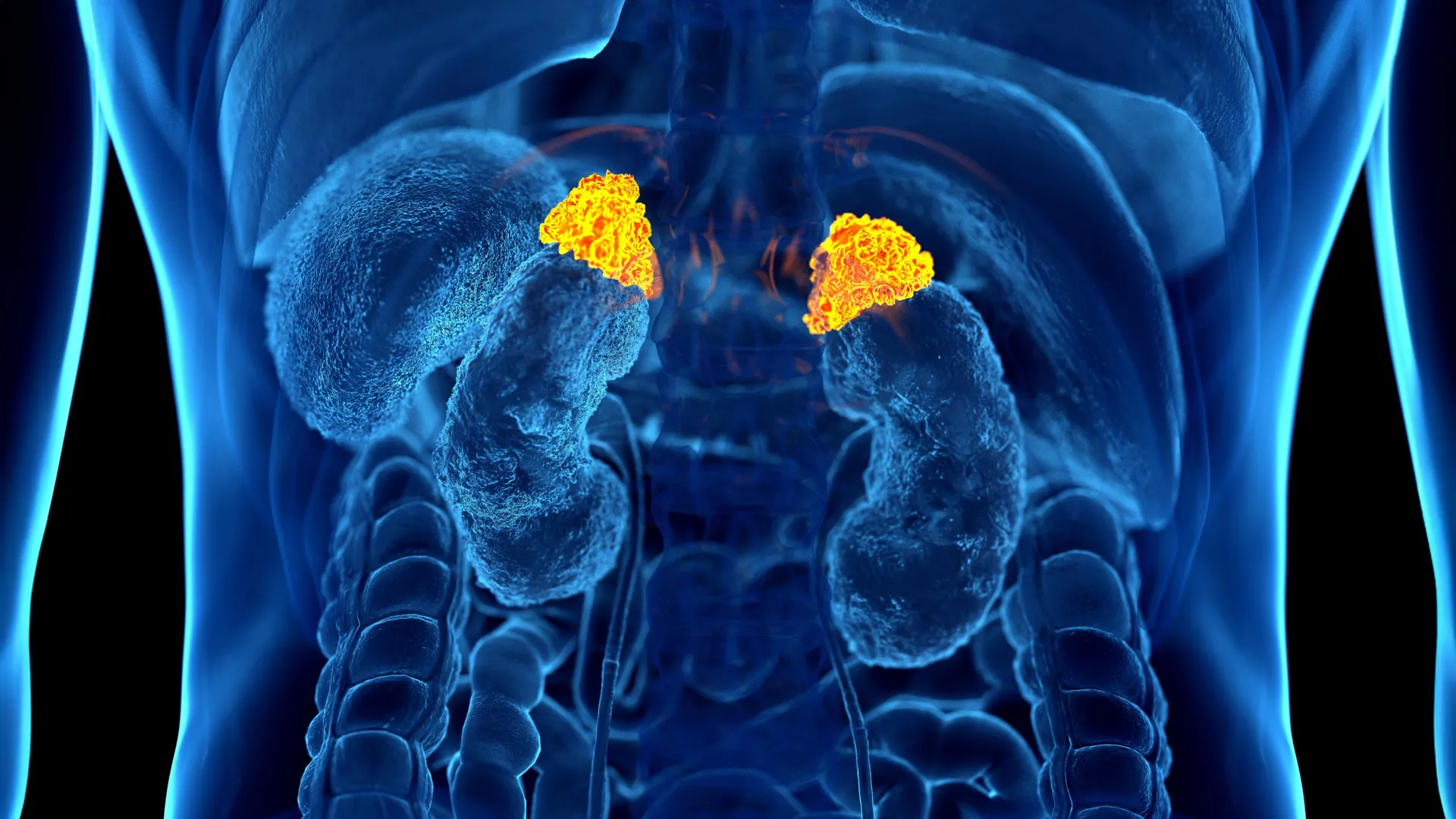 Featured image for AI Uncovers Hidden Stress Indicators in Routine CT Scans