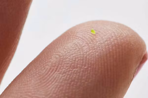 Featured image for MSCHF's Microscopic Louis Vuitton Handbag Goes Up for Auction