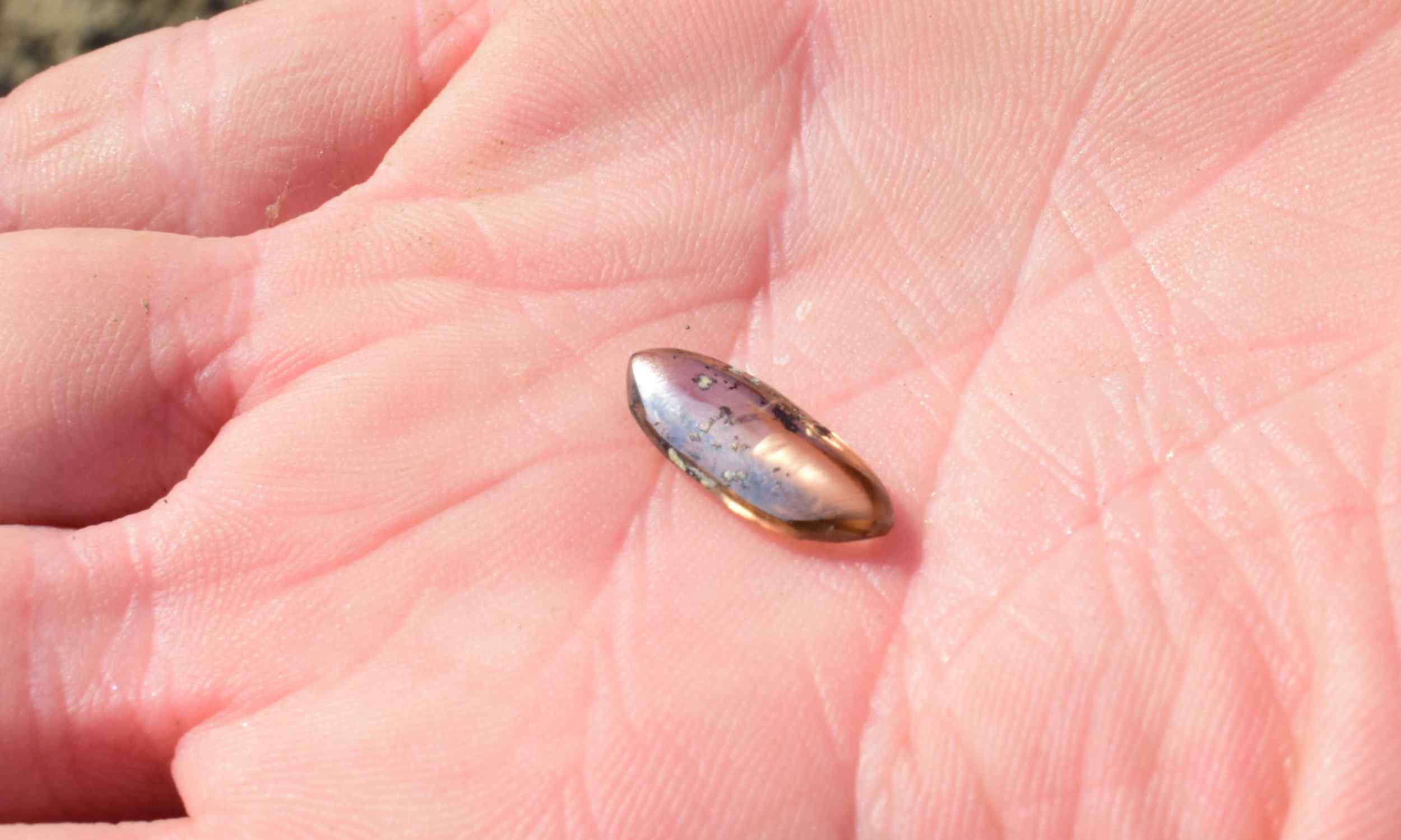 Featured image for Family Discovers 2.79-Carat Diamond with Dollar Store Tools