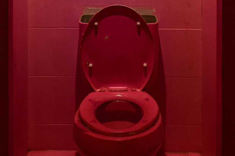 Featured image for Washington Warns of Toilet Rats After Heavy Rain and Flooding