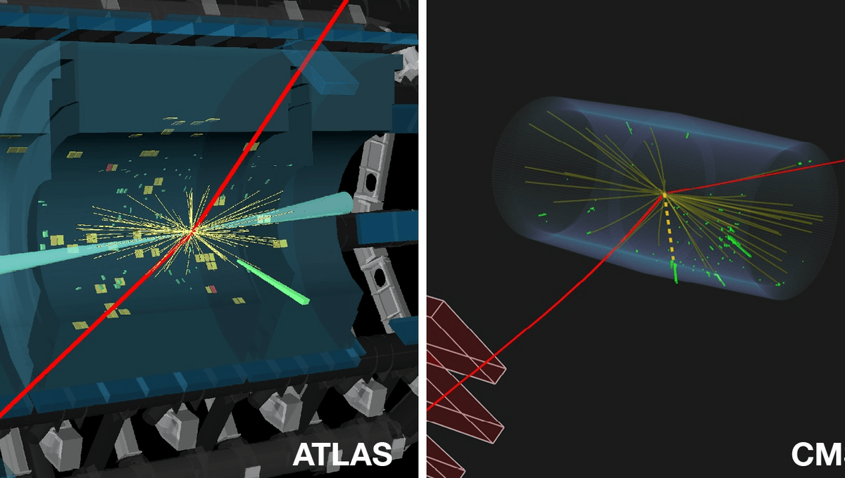 Featured image for Physicists Discover Rare Higgs Boson Decay at Large Hadron Collider