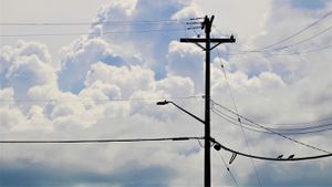 Featured image for "Two Charged for Cutting Optimum Cable Lines, Causing Massive Outages"
