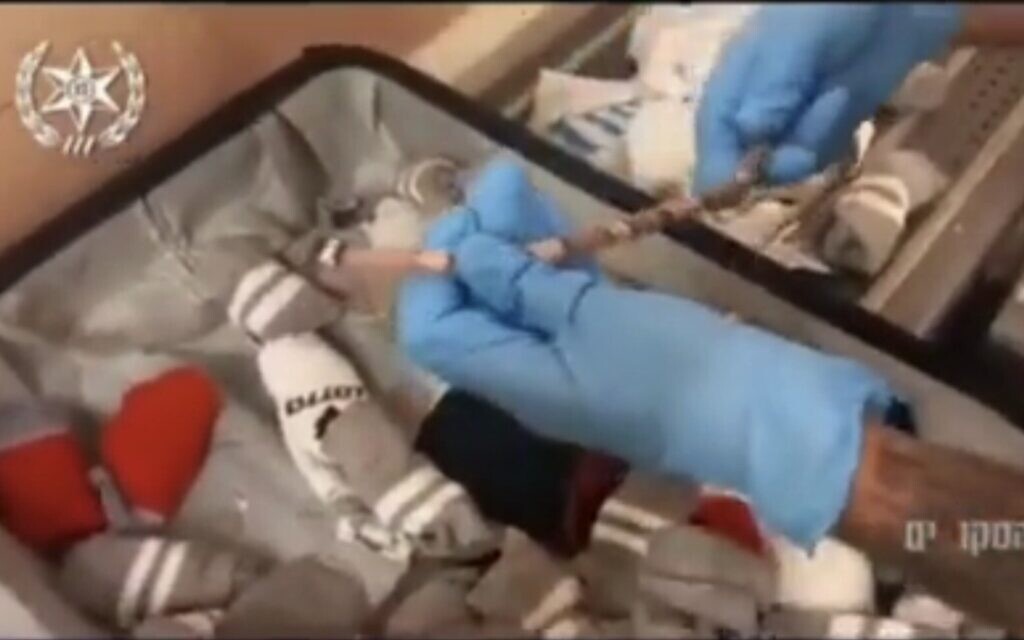 Featured image for Woman caught smuggling 70+ reptiles into Israel.