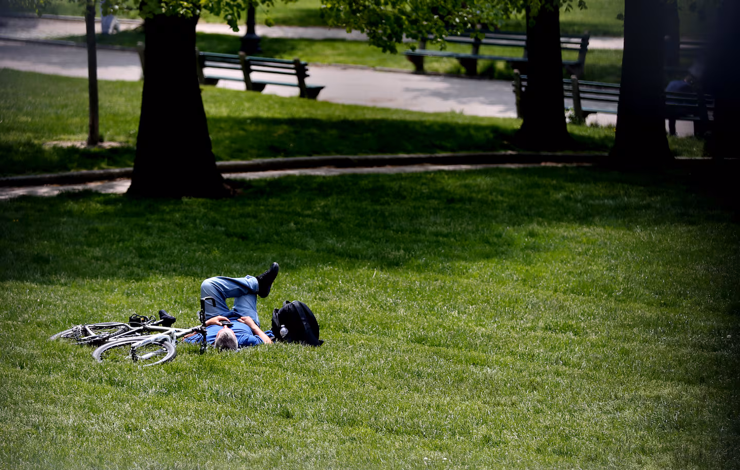 Featured image for Top Science-Backed Strategies to Lower Your Cancer Risk