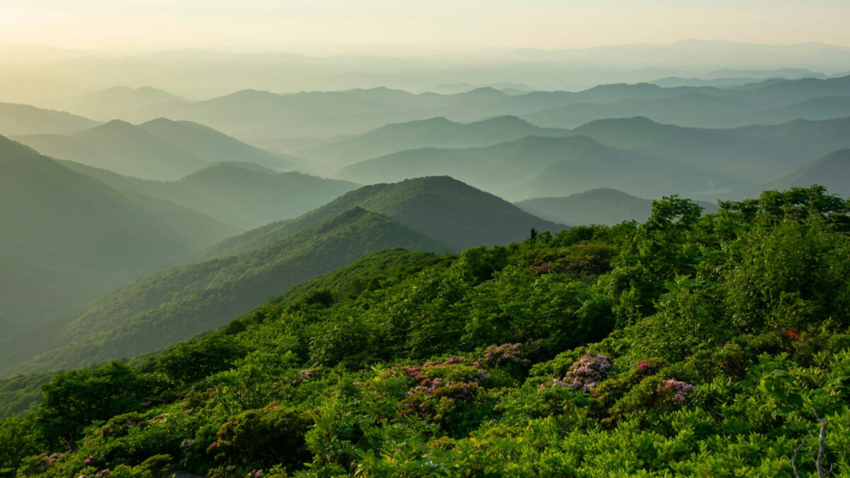 Featured image for Ancient Greenland Rift Causes Moving Heat Blob Beneath the US