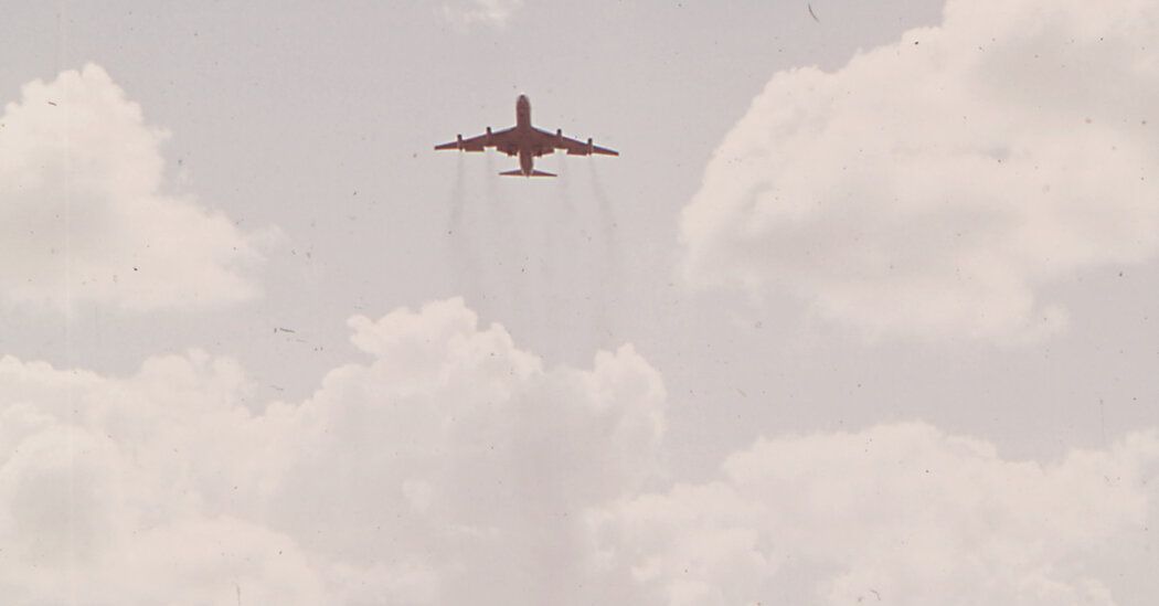 Featured image for Federal Judge Temporarily Halts Expansion of Florida's Alligator Alcatraz Detention Center