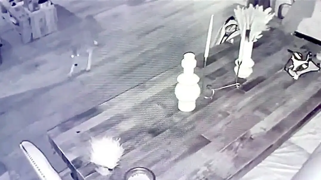 Featured image for Coyote Invades California Home Through Doggie Door