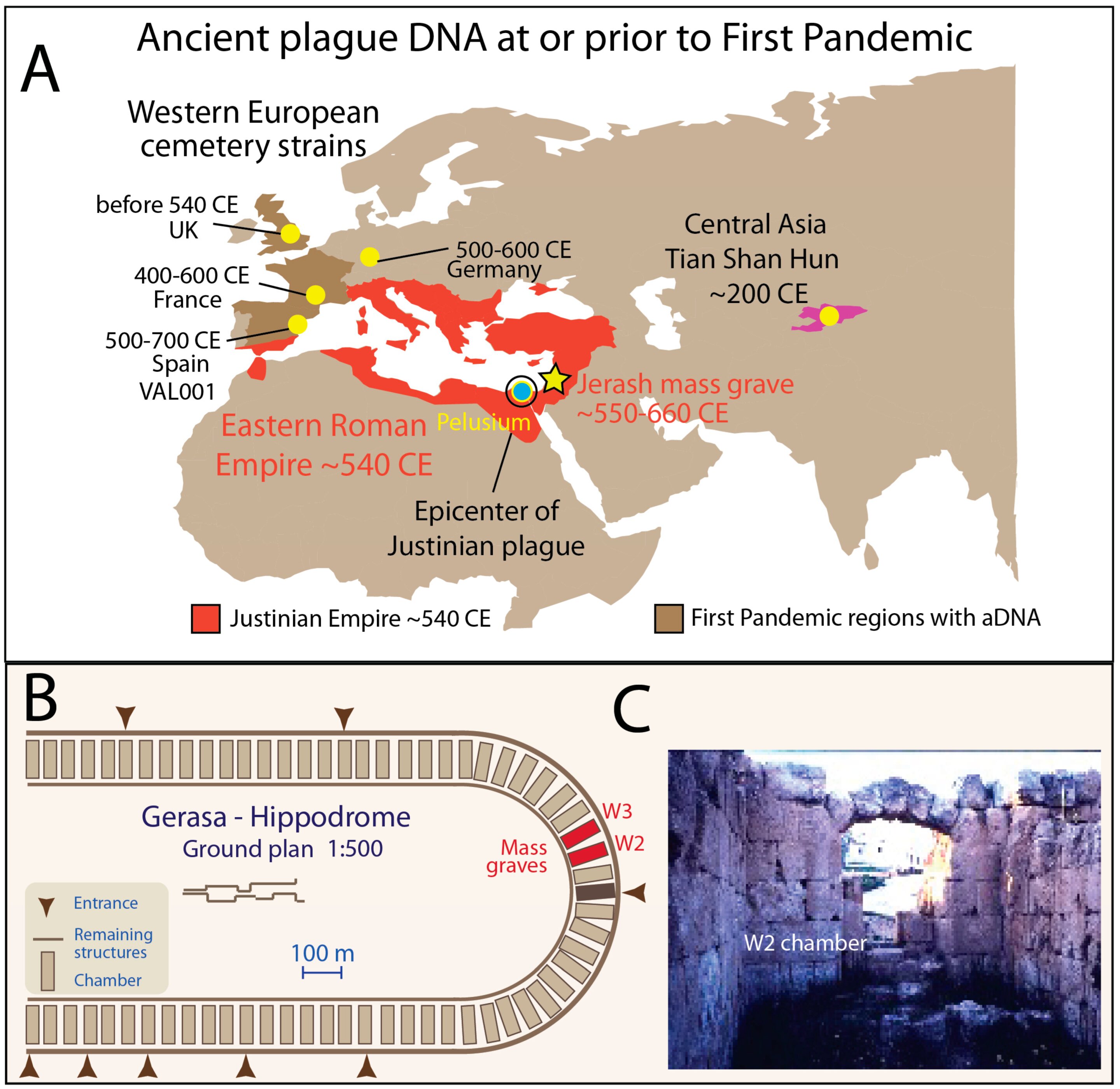 Featured image for Ancient DNA Unravels the Origins and Spread of Historic Pandemics