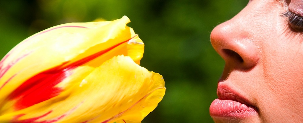 Featured image for Early Olfactory Signs May Predict Alzheimer's Years Before Symptoms