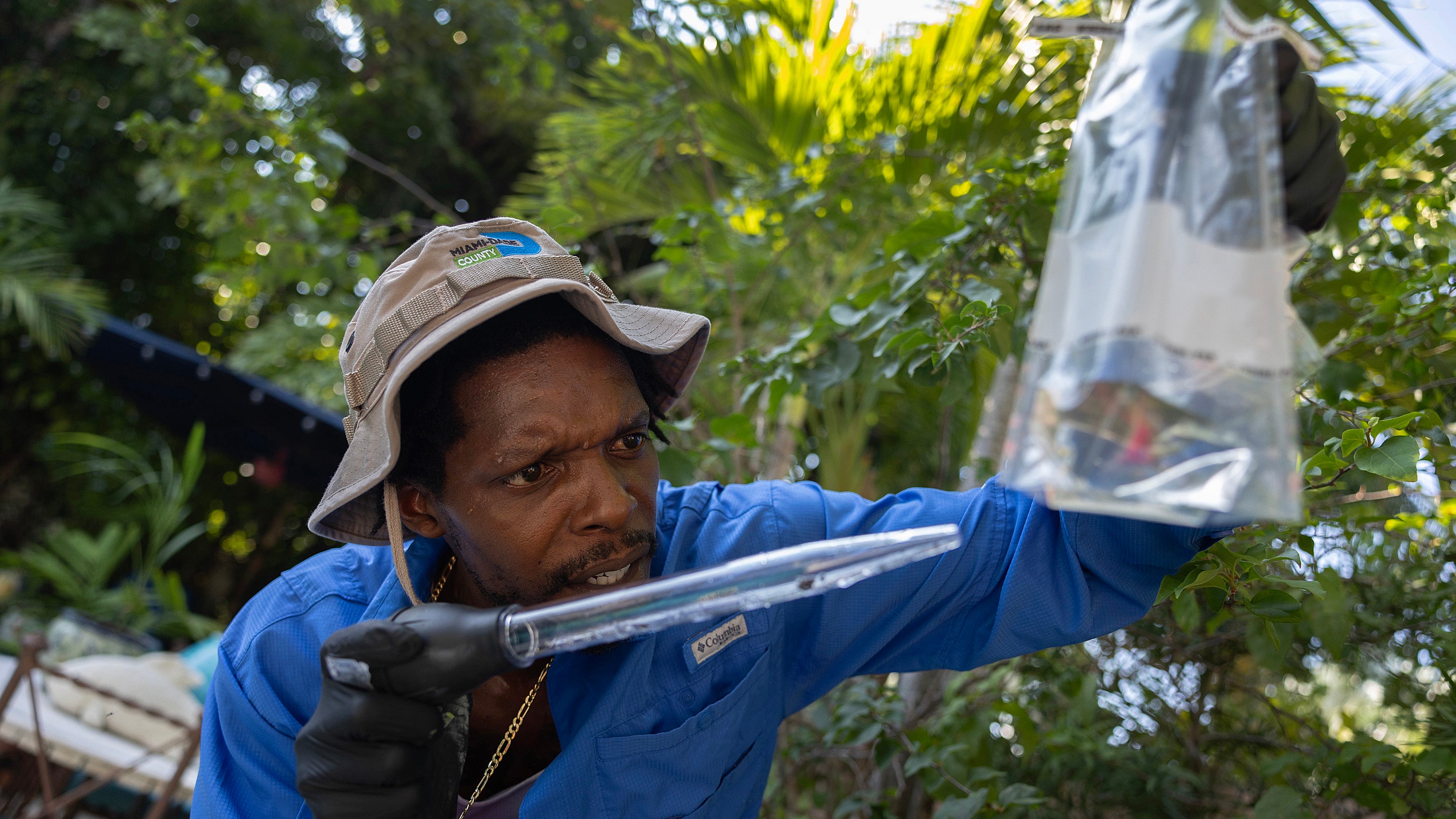 Featured image for Malaria Outbreak in Florida Raises Concerns