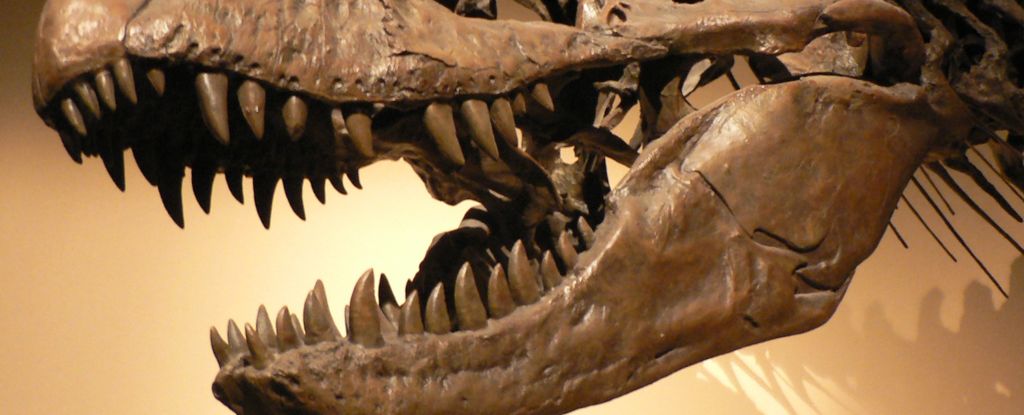 Featured image for How Giant Dinosaurs Would Have Chomped You