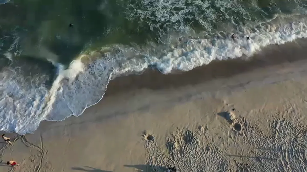 Featured image for Shark Attacks on Long Island Spark Fear and Heightened Surveillance