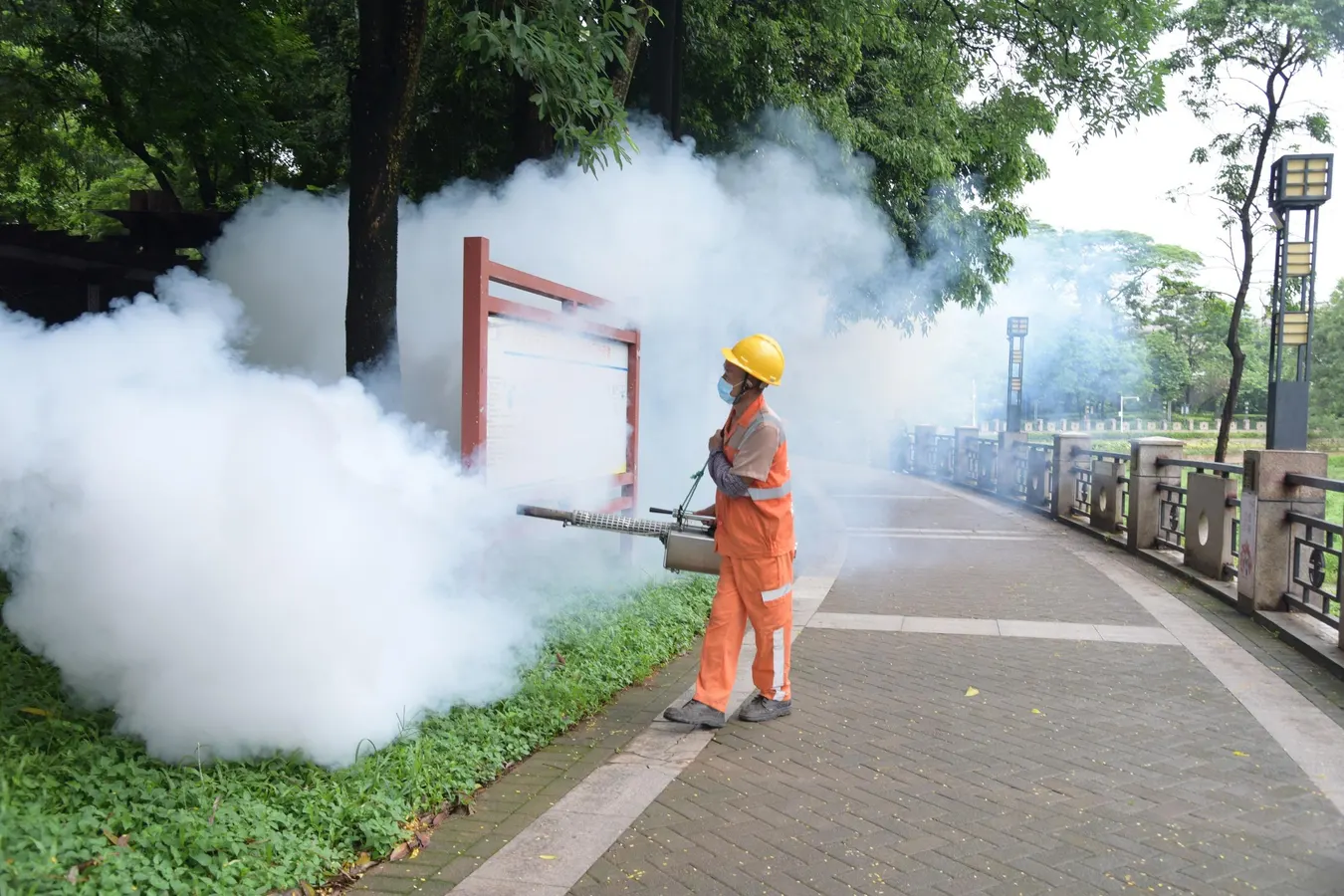 Featured image for China Battles Rising Chikungunya Cases Amid Global Outbreak