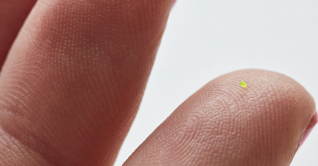 Featured image for MSCHF's Microscopic Louis Vuitton Handbag Goes to Auction