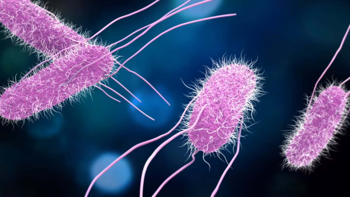 Featured image for "Salmonella Outbreak in King County: 2 Hospitalized, 4 Sickened"
