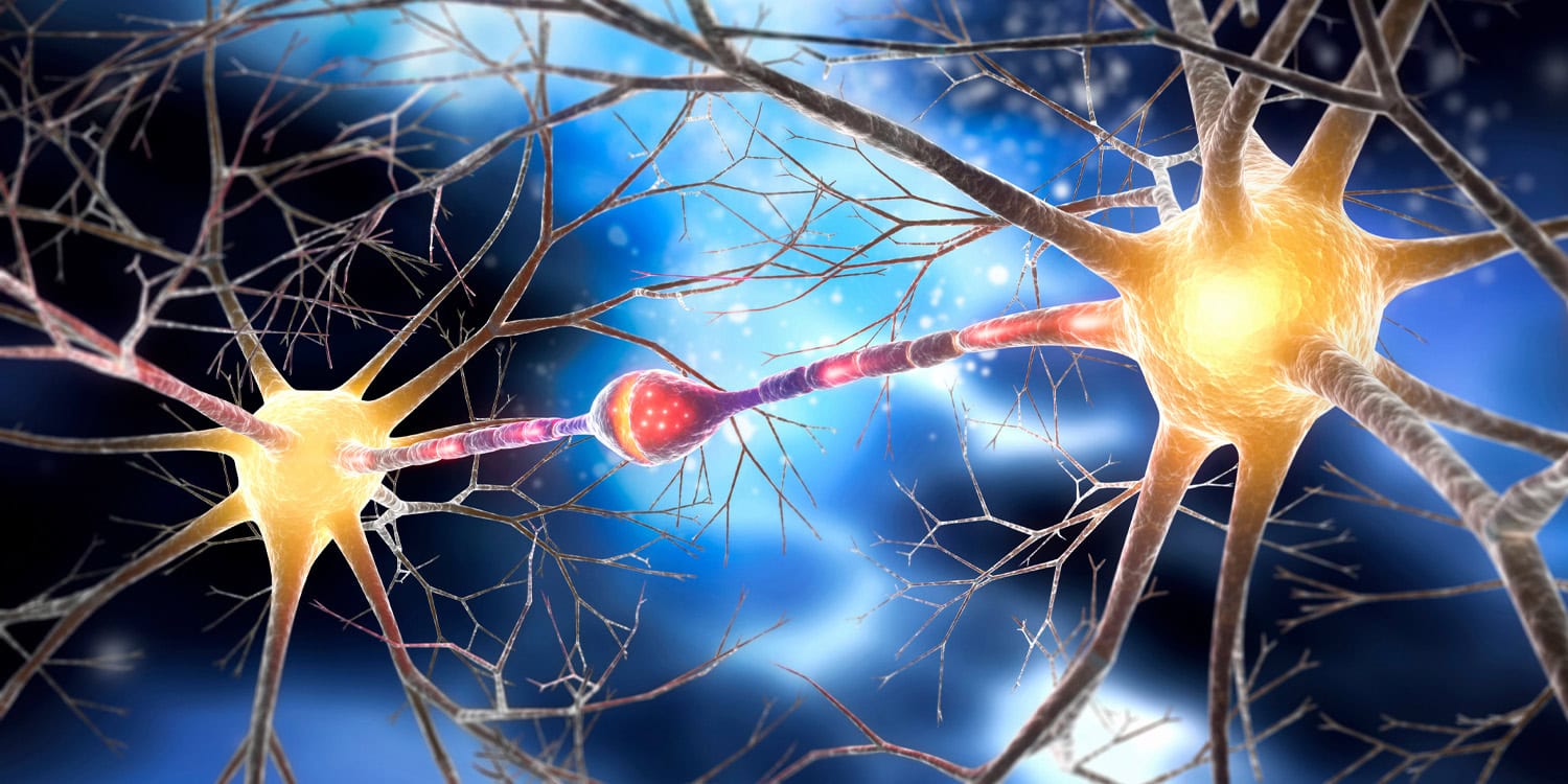 Featured image for Schizophrenia Associated with Unique Neuron Morphology