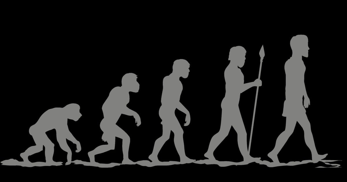 Featured image for Ancient Ethiopian Fossils Uncover New Insights into Human Evolution