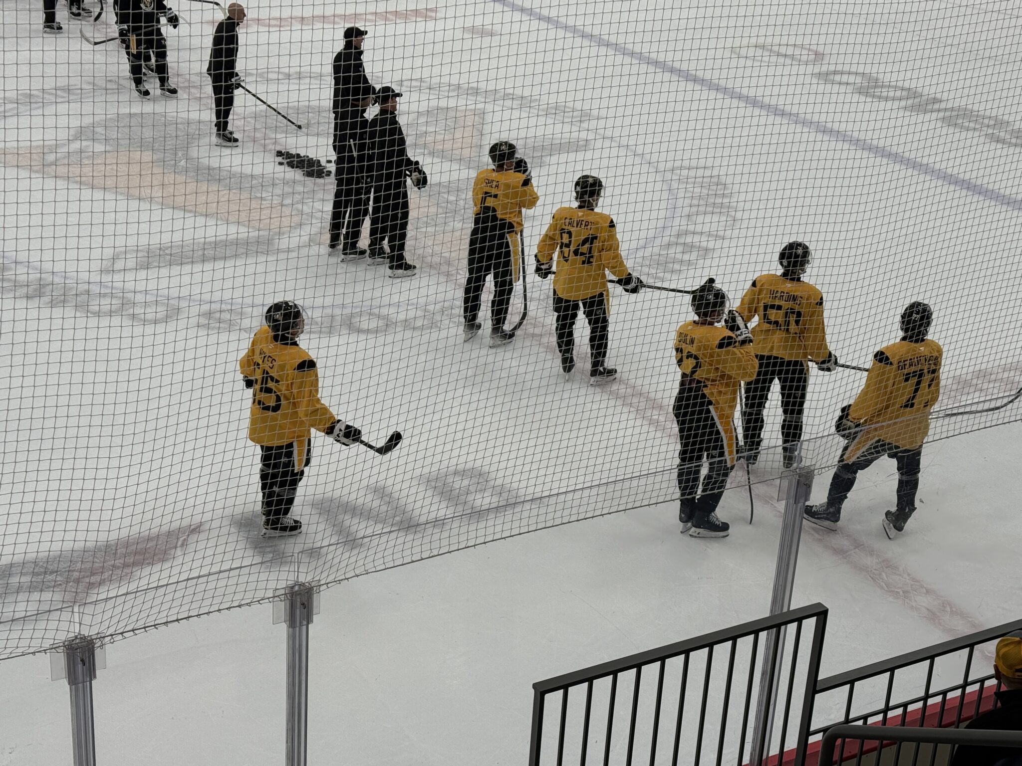 Featured image for Penguins Training Camp Kicks Off with New Faces and Rising Stars