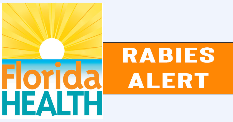 Featured image for Rabies Alert Issued in Florida Counties for Bat and Fox Exposures