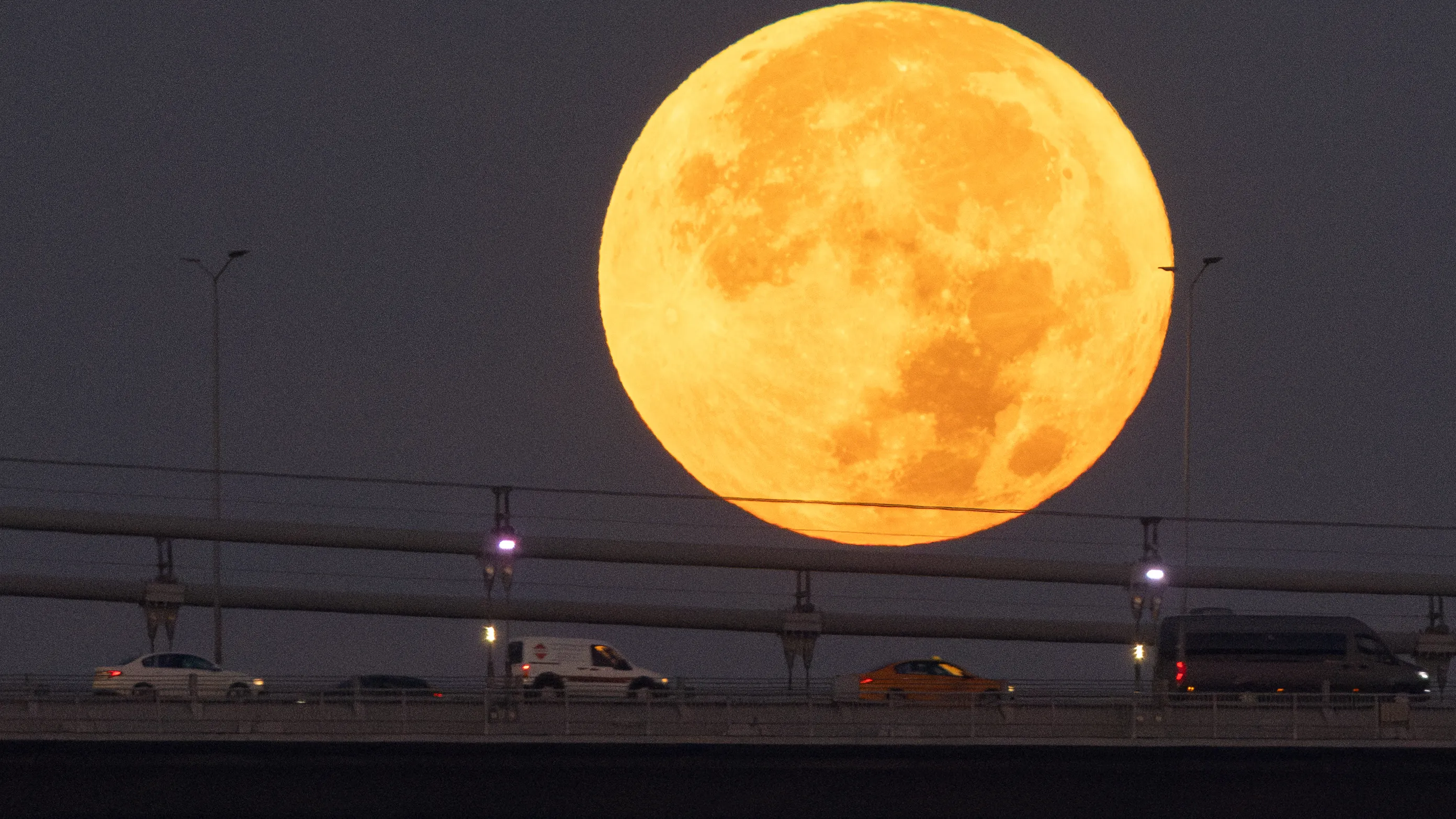 Featured image for Upcoming Beaver Supermoon in 2025: When to Watch and What to Expect