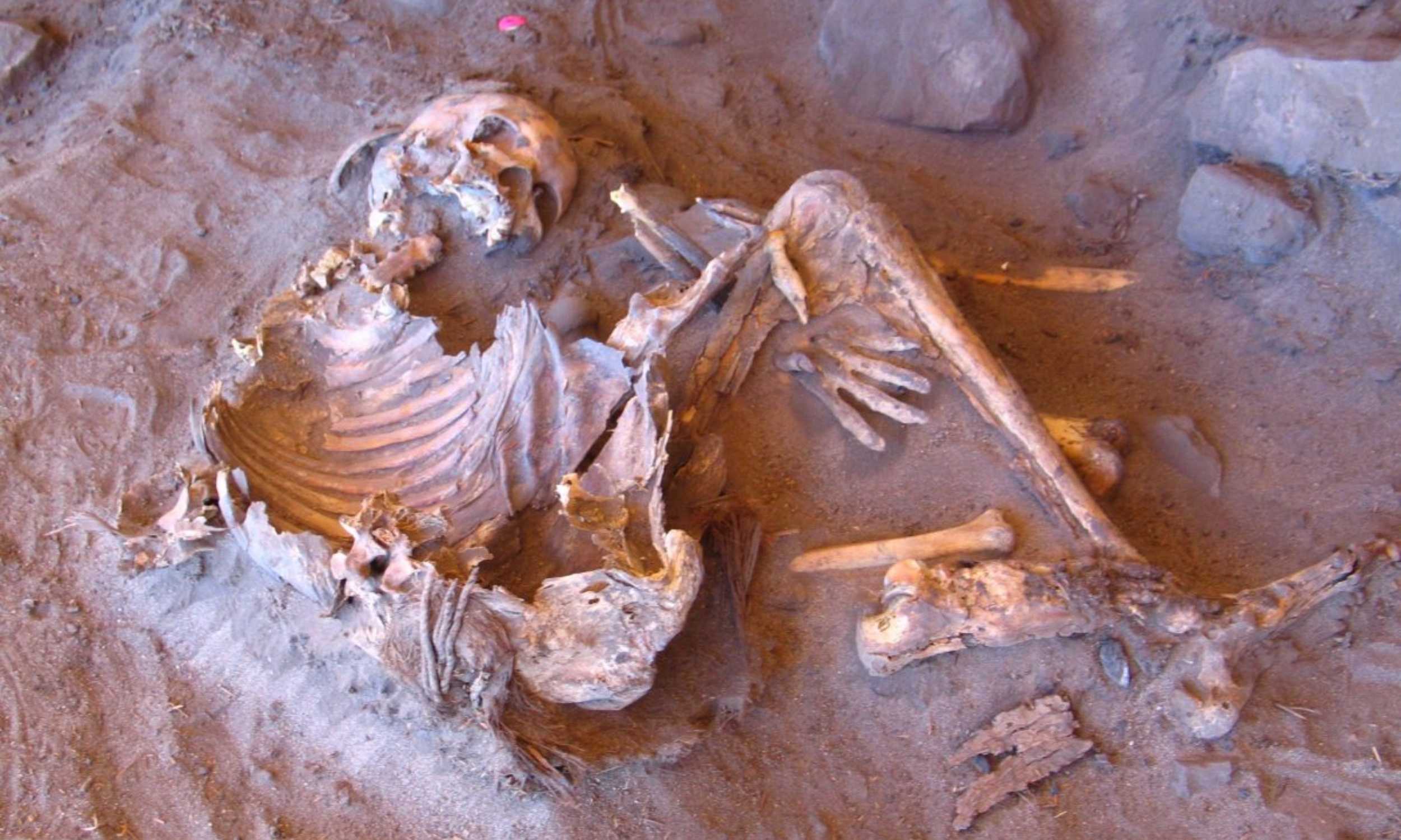 Featured image for Ancient Mummies Reveal Unusual DNA Signatures