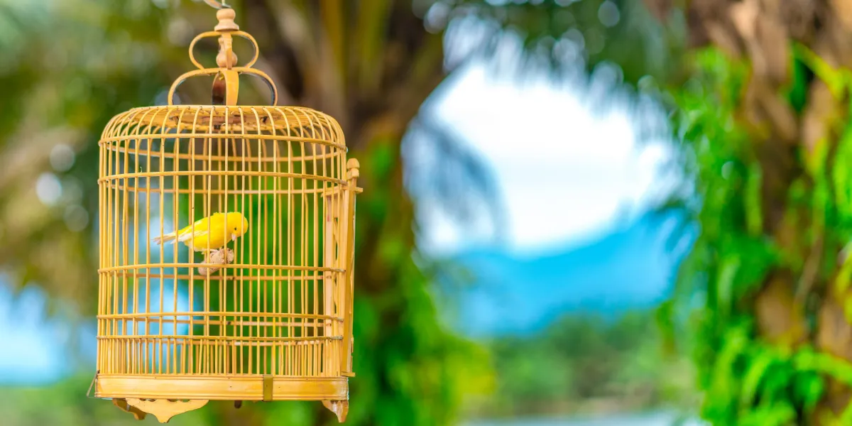 Featured image for Gen Z Entrepreneur Declares Work-Life Balance a Myth and Shares Ruthless Optimization Tips