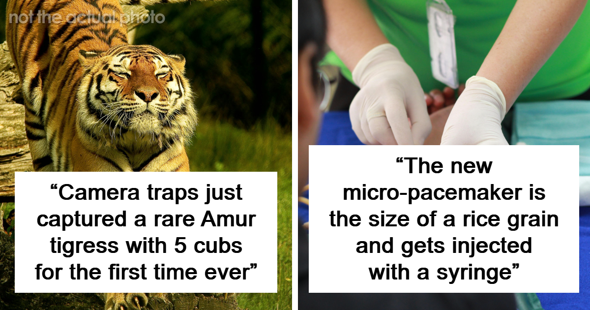 Featured image for Memorable Facts That Stay With You