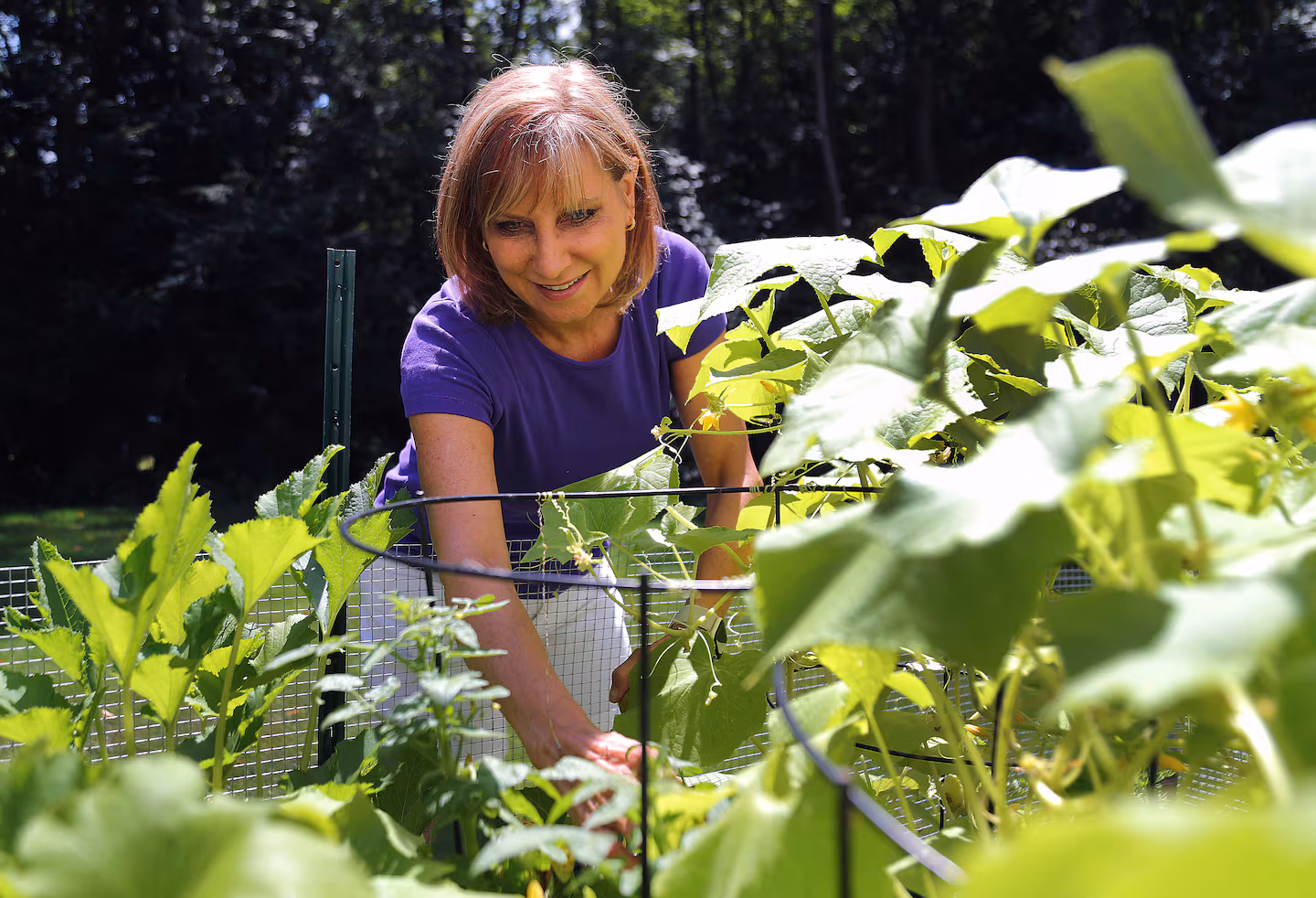 Featured image for Advances and Shifts in Alzheimer’s Research and Treatment