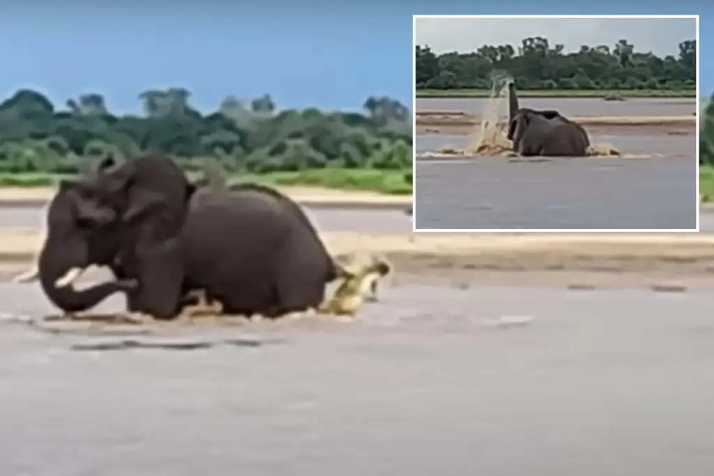 Featured image for Elephant's Epic Battle Against Crocodile Caught on Video