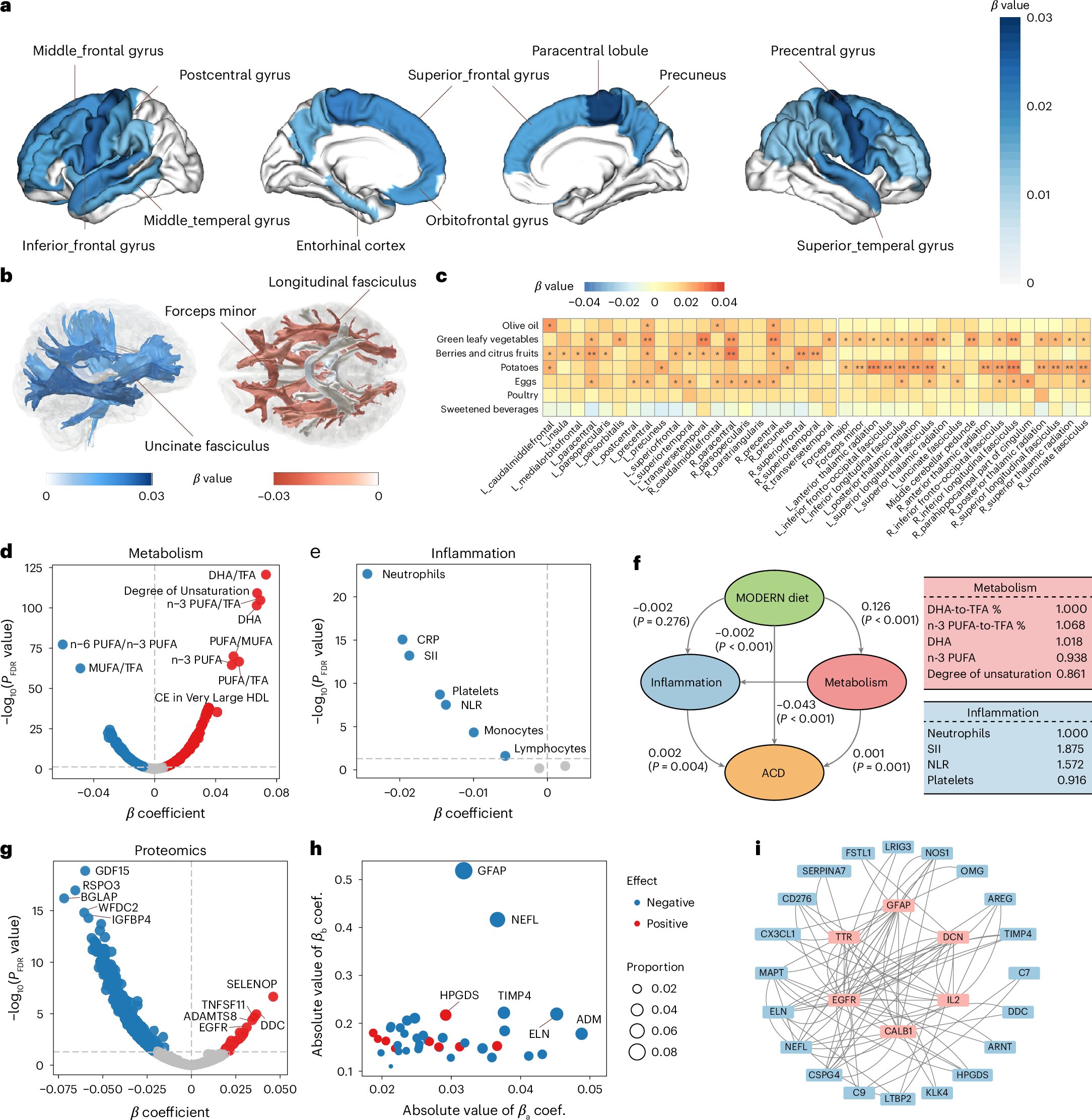 Featured image for Machine Learning-Optimized Diets May Reduce Dementia Risk by Up to 28%