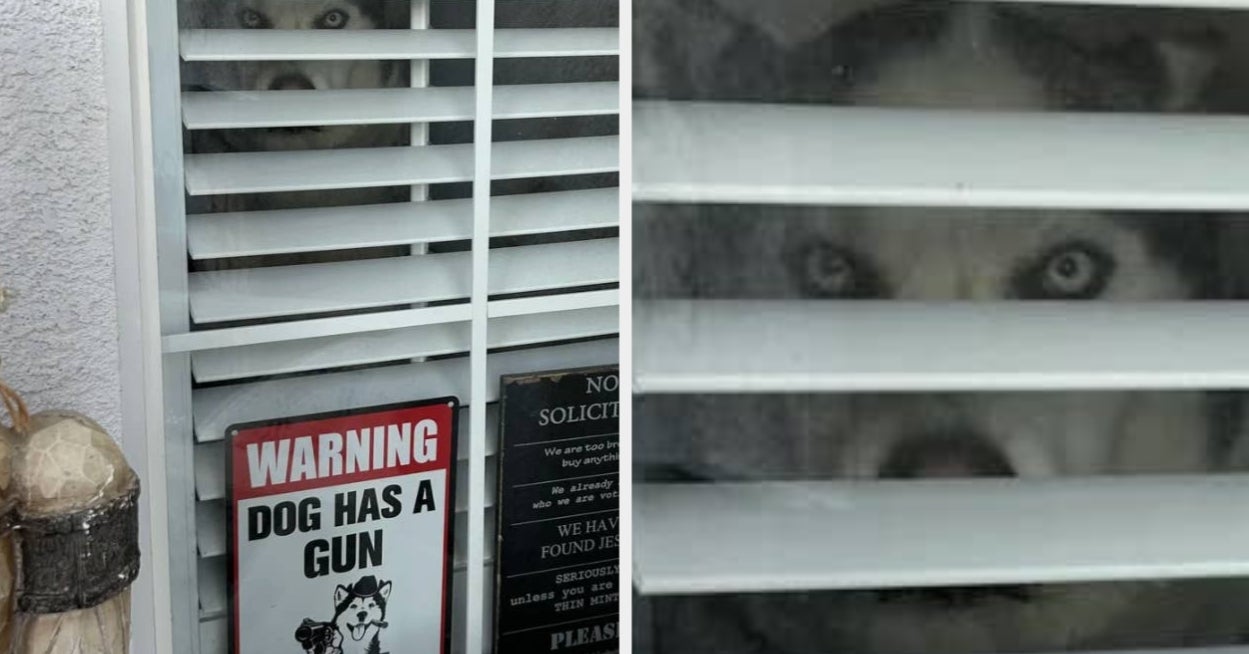 Featured image for Hilarious Signs That Will Start Your 2026 with Laughter