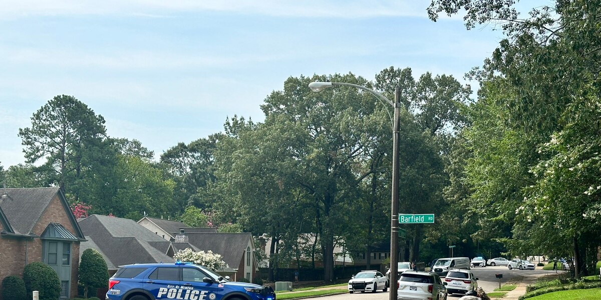 Featured image for East Memphis Man Shot by Would-Be Robber While Working in Yard