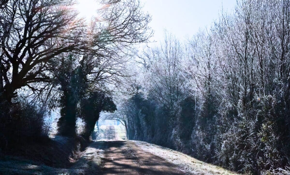 Featured image for Winter's Hidden Role in Earth's Survival