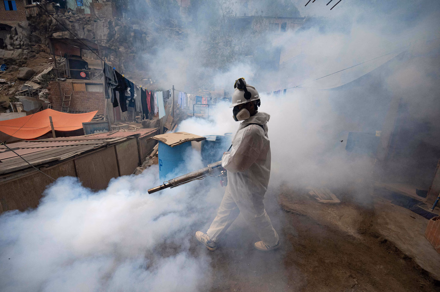 CDC Reports High Dengue Rates in U.S. Territories
