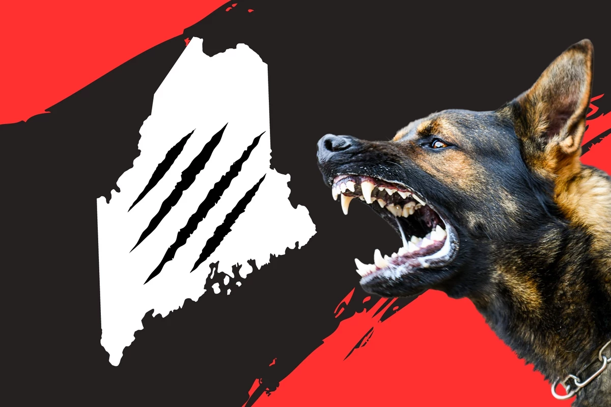 Featured image for Deadly Creatures Lurking in Northeastern US