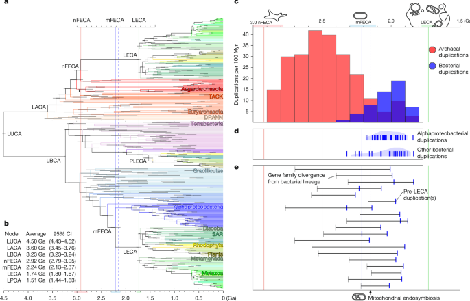 Featured image for Revealing the Ancient Origins and Evolution of Complex Life on Earth
