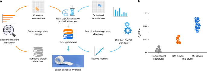 Featured image for AI-Designed Ultra-Strong Hydrogel Revolutionizes Underwater Adhesives