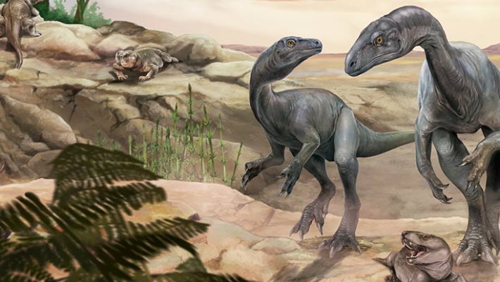 Featured image for New Triassic Long-Necked Dinosaur Species Discovered
