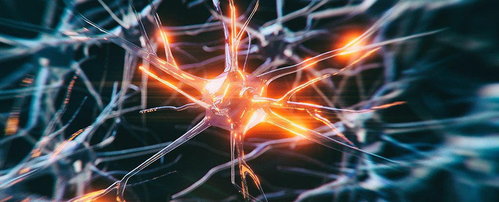 Featured image for Youngest-Ever Alzheimer's Diagnosis Sparks Concern