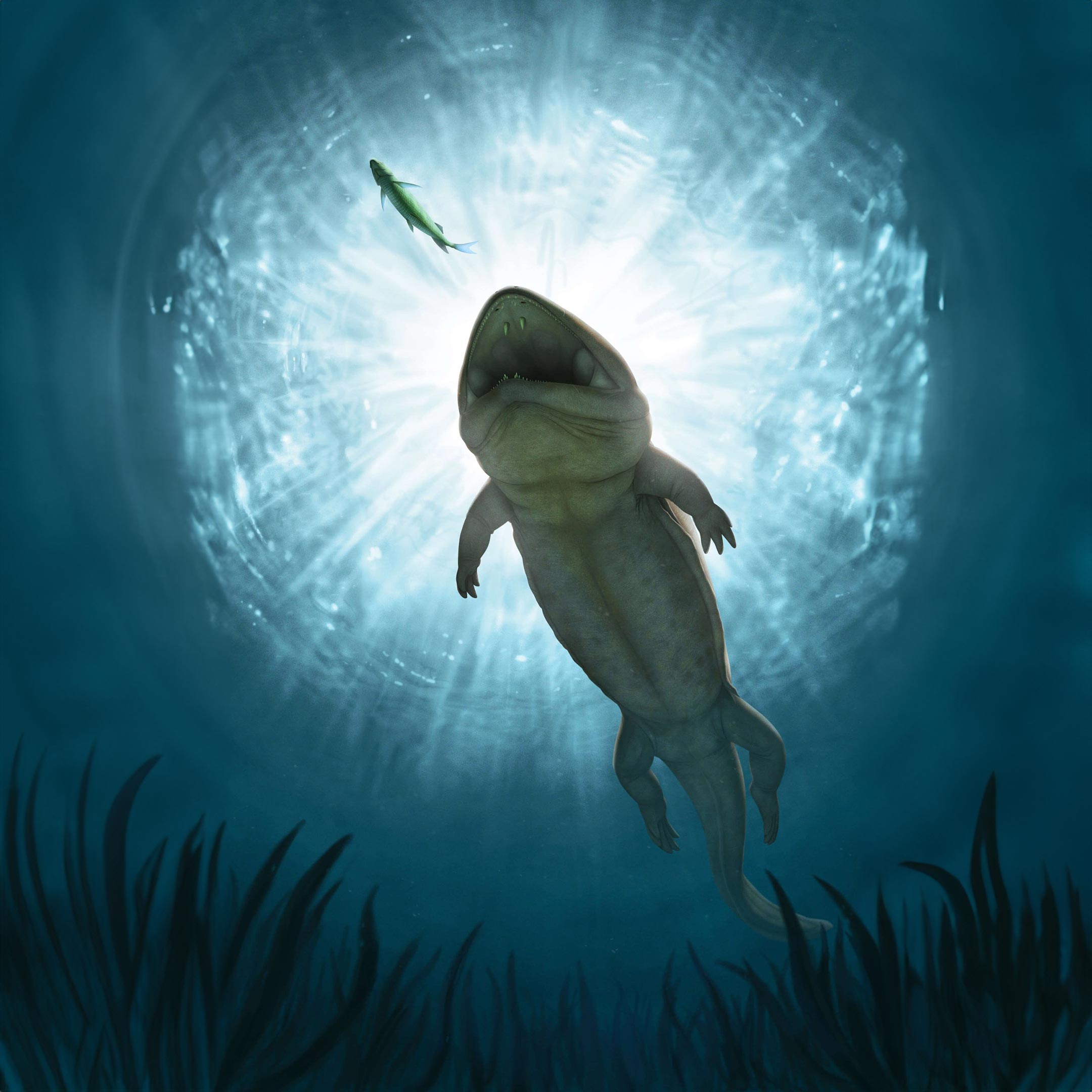 Featured image for Ancient 240-Million-Year-Old Sand Creeper Found in Wall