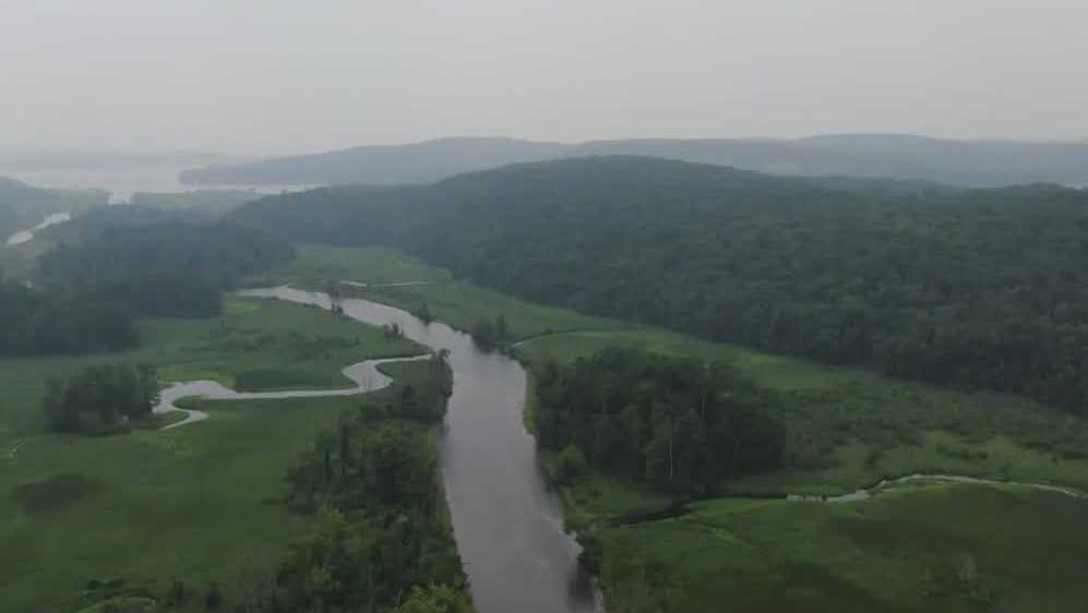 Featured image for Rabid Bobcat Attacks Campers in New England State Park