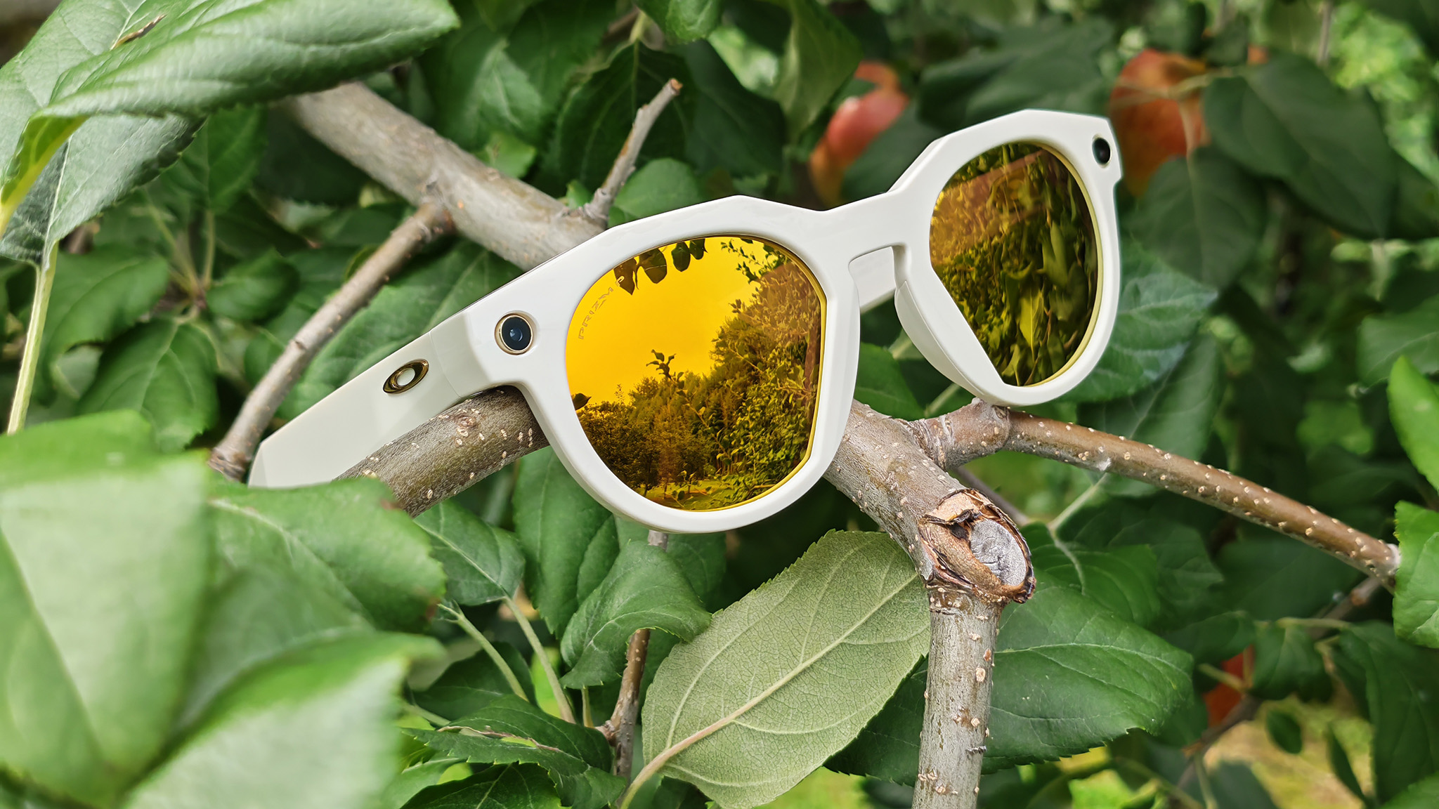 Featured image for Meta's Oakley and Ray-Ban Smart Glasses: The Future of Wearable AI