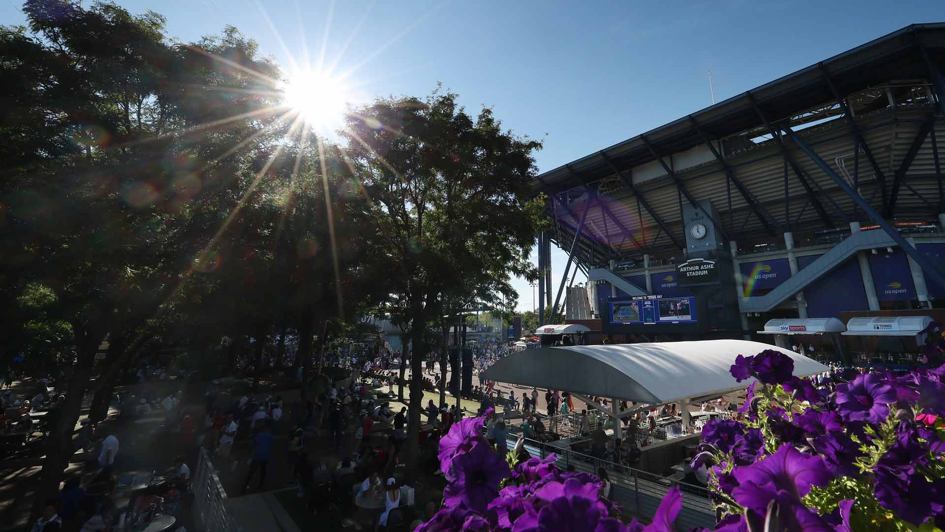Featured image for US Open Semifinals Set: Alcaraz, Djokovic, Sinner, and Auger-Aliassime Vie for Final Spots
