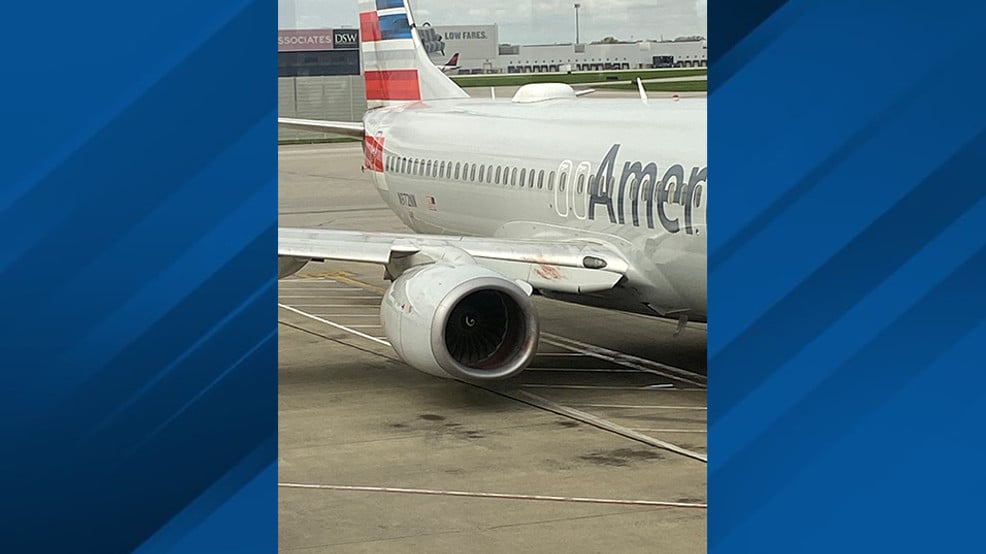Featured image for Bird Strikes Cause Chaos for American Airlines Flights