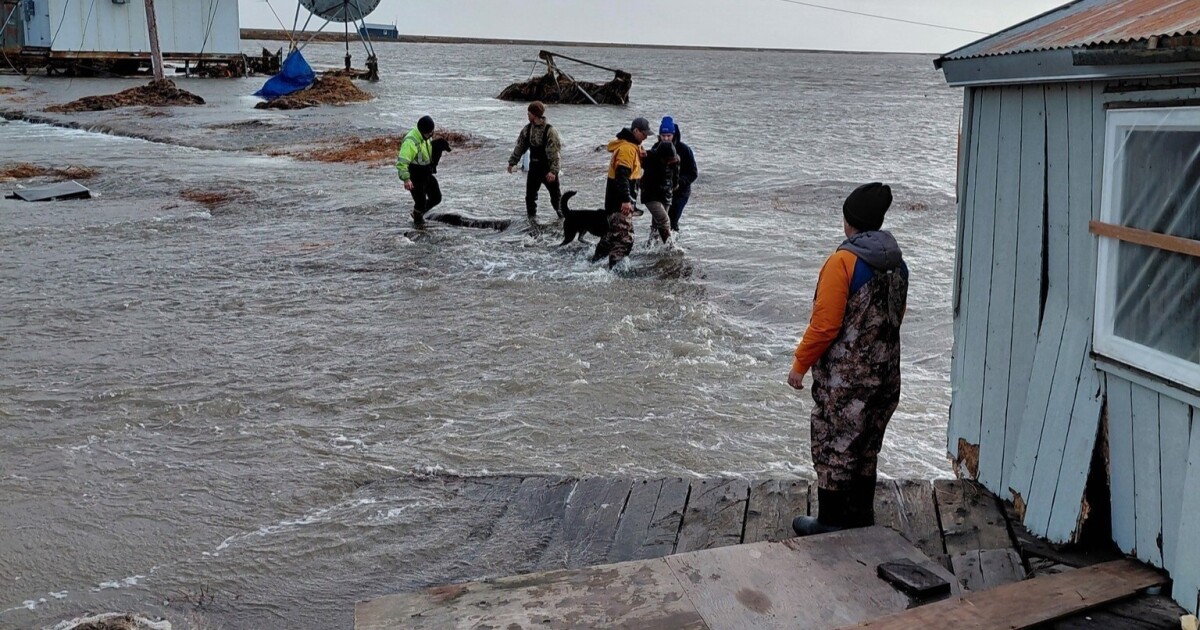 Featured image for Alaska Faces Devastating Storms and Shelter Crisis Amid Data Shortages