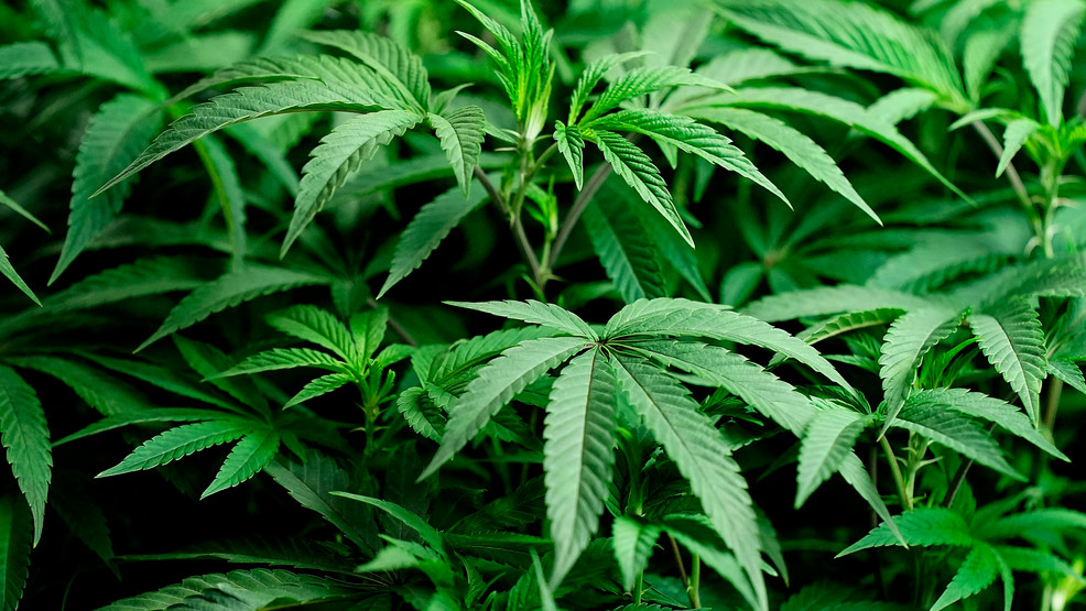 Featured image for Maryland lawmakers tackle cannabis, guns, and crime in session's final days.