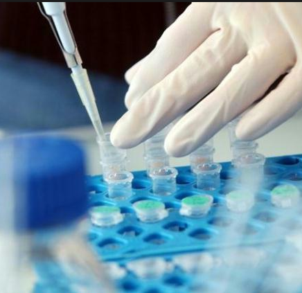 Featured image for Vaccination Rankings: Northeast Leads, West Virginia Lags